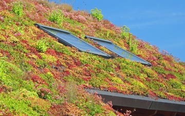 Lawton living roof systems
