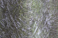 Lawton fibreglass roof work